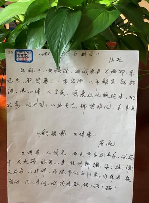 南昌向遠(yuǎn)軌道技術(shù)學(xué)校順利舉辦學(xué)生硬筆書法大賽